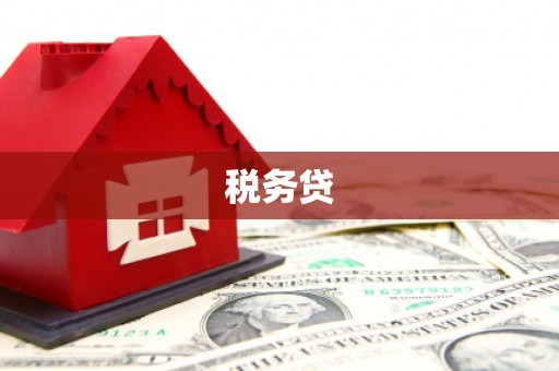 竹崎税务贷