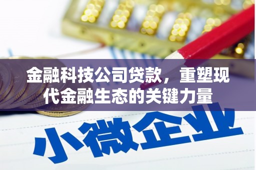 竹崎金融科技公司贷款，重塑现代金融生态的关键力量