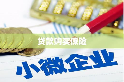 竹崎贷款购买保险