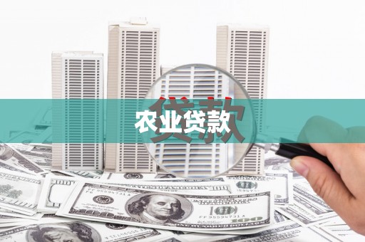竹崎农业贷款