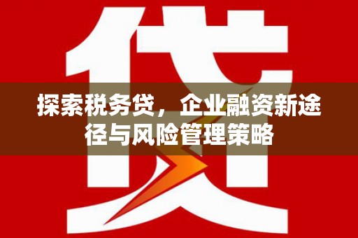 竹崎探索税务贷，企业融资新途径与风险管理策略