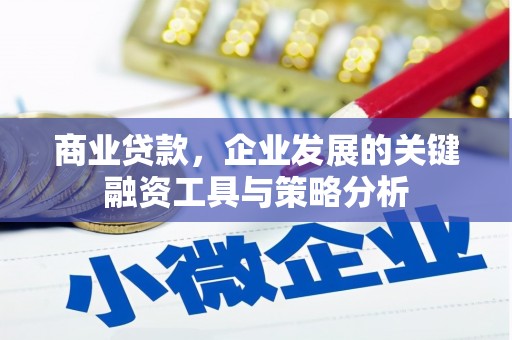 竹崎商业贷款，企业发展的关键融资工具与策略分析