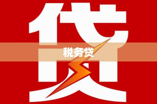 竹崎税务贷