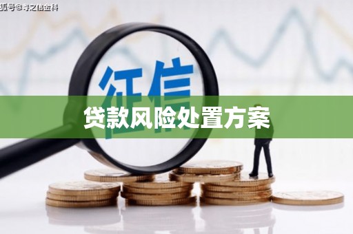 竹崎贷款风险处置方案