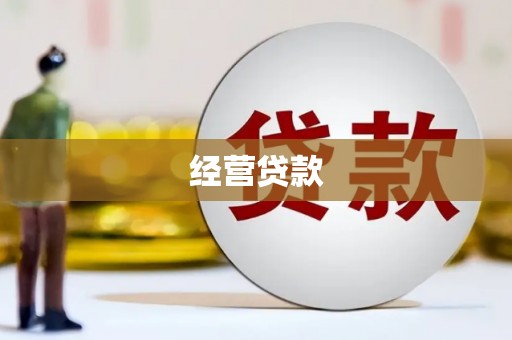 竹崎经营贷款