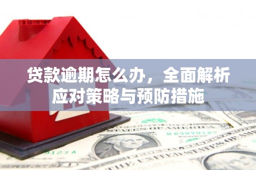 竹崎贷款逾期怎么办，全面解析应对策略与预防措施