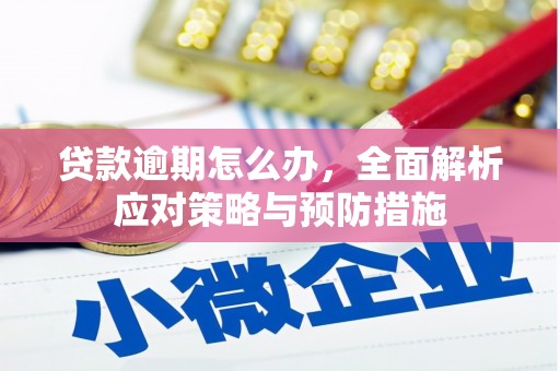 竹崎贷款逾期怎么办，全面解析应对策略与预防措施