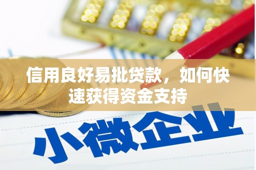 竹崎信用良好易批贷款，如何快速获得资金支持