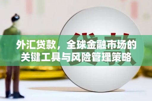 竹崎外汇贷款，全球金融市场的关键工具与风险管理策略