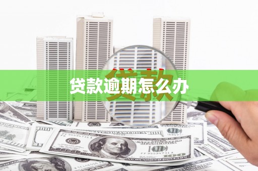 竹崎贷款逾期怎么办
