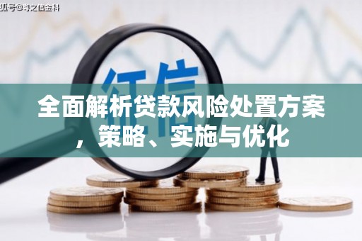 竹崎全面解析贷款风险处置方案，策略、实施与优化