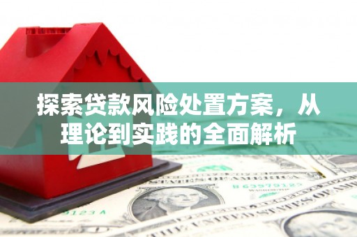 竹崎探索贷款风险处置方案，从理论到实践的全面解析