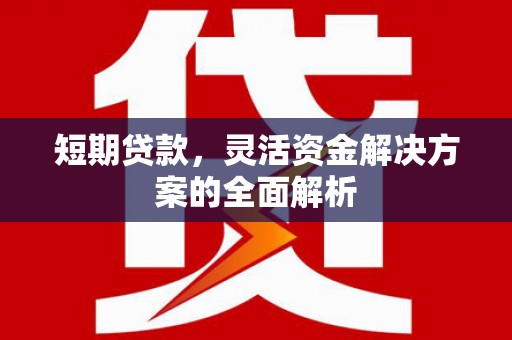 竹崎短期贷款，灵活资金解决方案的全面解析