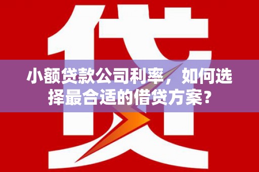 竹崎小额贷款公司利率，如何选择最合适的借贷方案？