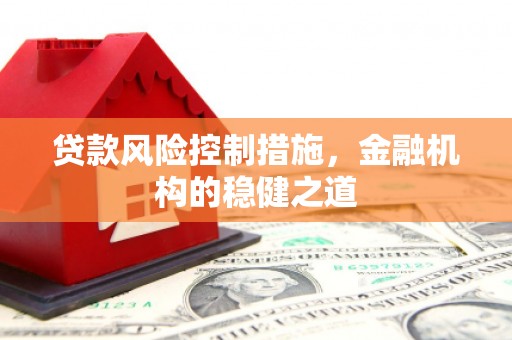竹崎贷款风险控制措施，金融机构的稳健之道