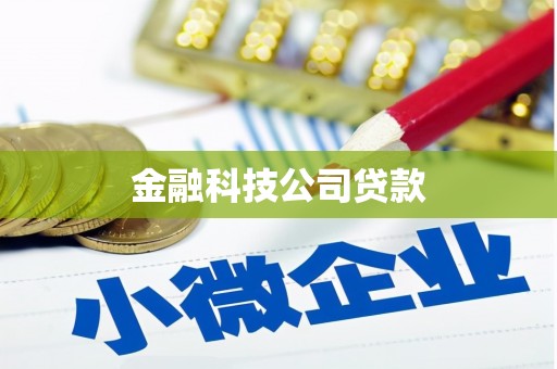 竹崎金融科技公司贷款