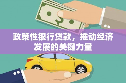 竹崎政策性银行贷款，推动经济发展的关键力量