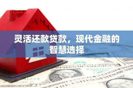 竹崎灵活还款贷款，现代金融的智慧选择
