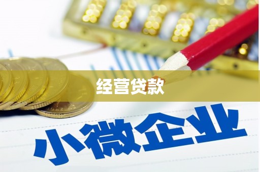 竹崎经营贷款
