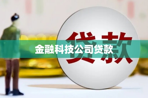 竹崎金融科技公司贷款
