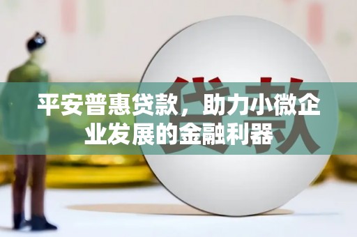 竹崎平安普惠贷款，助力小微企业发展的金融利器