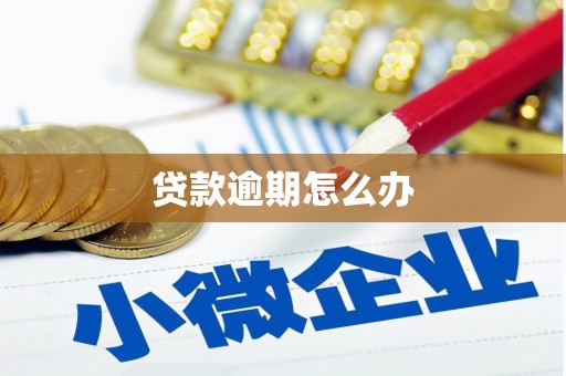 竹崎贷款逾期怎么办