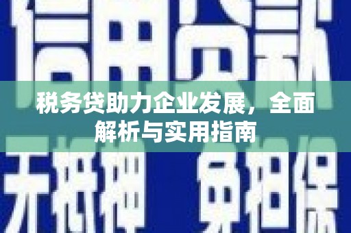 竹崎税务贷助力企业发展，全面解析与实用指南