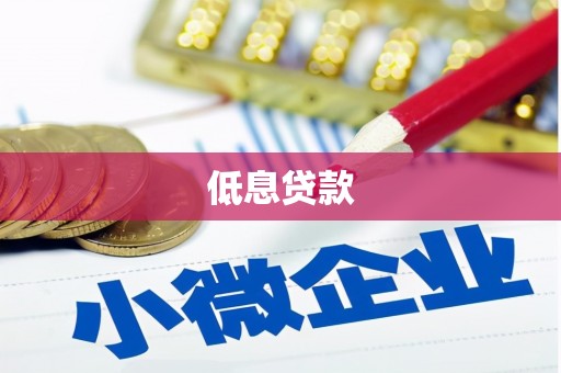 竹崎低息贷款
