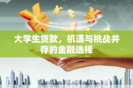 竹崎大学生贷款，机遇与挑战并存的金融选择