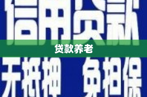 竹崎贷款养老