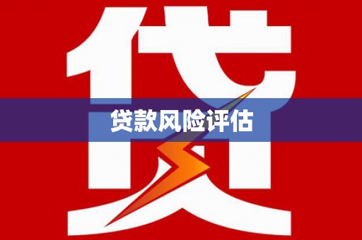 竹崎贷款风险评估