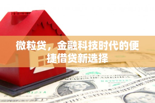 竹崎微粒贷，金融科技时代的便捷借贷新选择