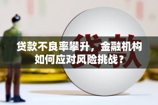 竹崎贷款不良率攀升，金融机构如何应对风险挑战？