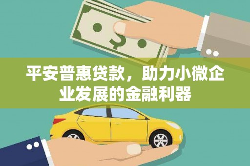 竹崎平安普惠贷款，助力小微企业发展的金融利器