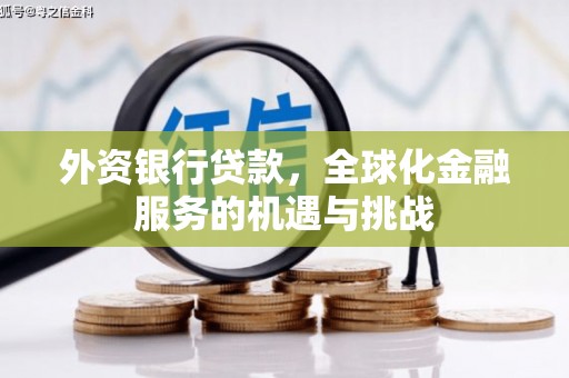 竹崎外资银行贷款，全球化金融服务的机遇与挑战