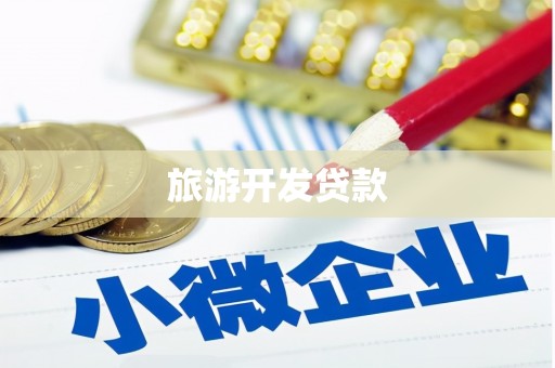 竹崎旅游开发贷款
