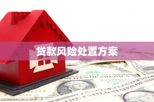 竹崎贷款风险处置方案