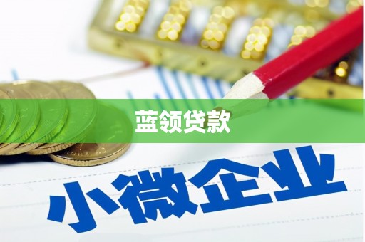 竹崎蓝领贷款