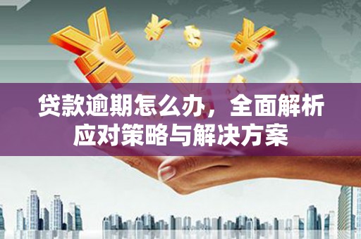 竹崎贷款逾期怎么办，全面解析应对策略与解决方案