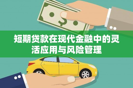 竹崎短期贷款在现代金融中的灵活应用与风险管理