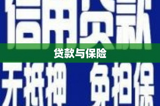 竹崎贷款与保险