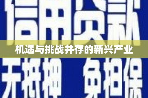 竹崎机遇与挑战并存的新兴产业