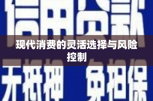 竹崎现代消费的灵活选择与风险控制