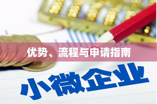 竹崎优势、流程与申请指南