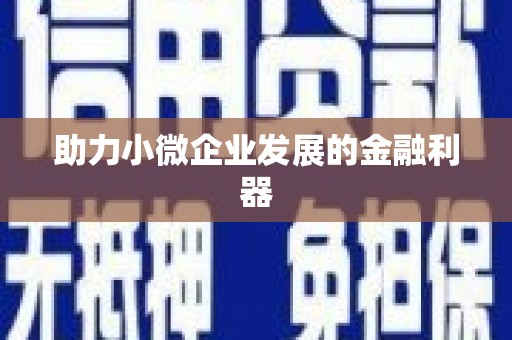 竹崎助力小微企业发展的金融利器