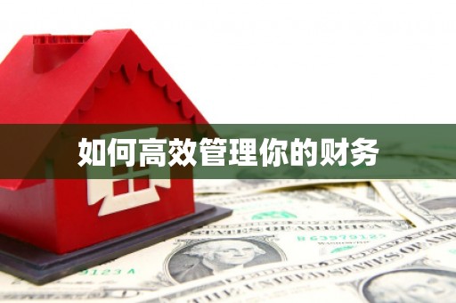竹崎如何高效管理你的财务