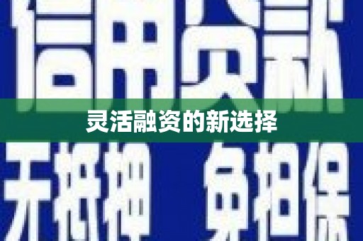 竹崎灵活融资的新选择