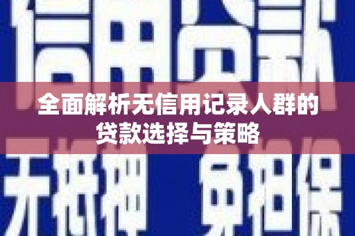 竹崎全面解析无信用记录人群的贷款选择与策略