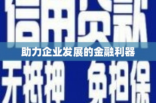 竹崎助力企业发展的金融利器