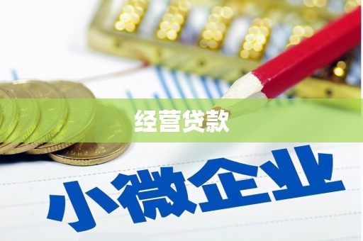 竹崎经营贷款